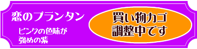 パナシュドール(羽根ペンセット)　恋のプランタン-ピンクの色味が強めの紫